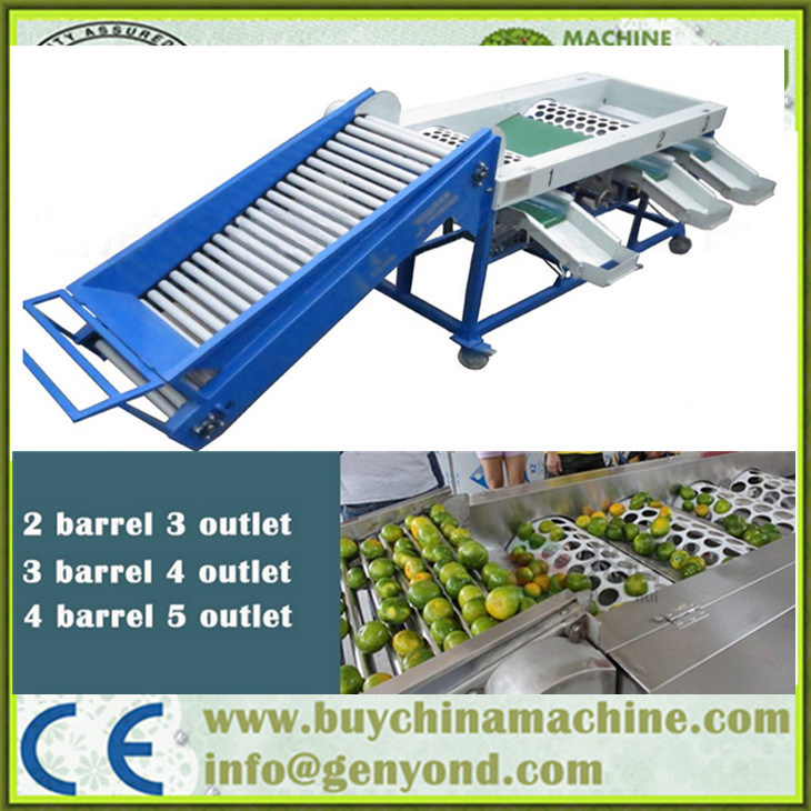 Special Design Apple Sorting Machine