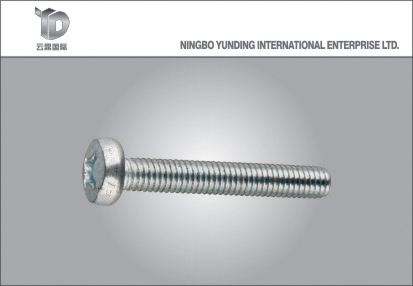 Stainless Steel Self-Tapping Screw Made in China with High Quality