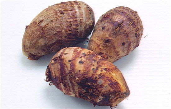 Professional New Crop Fresh Taro (60-80g)