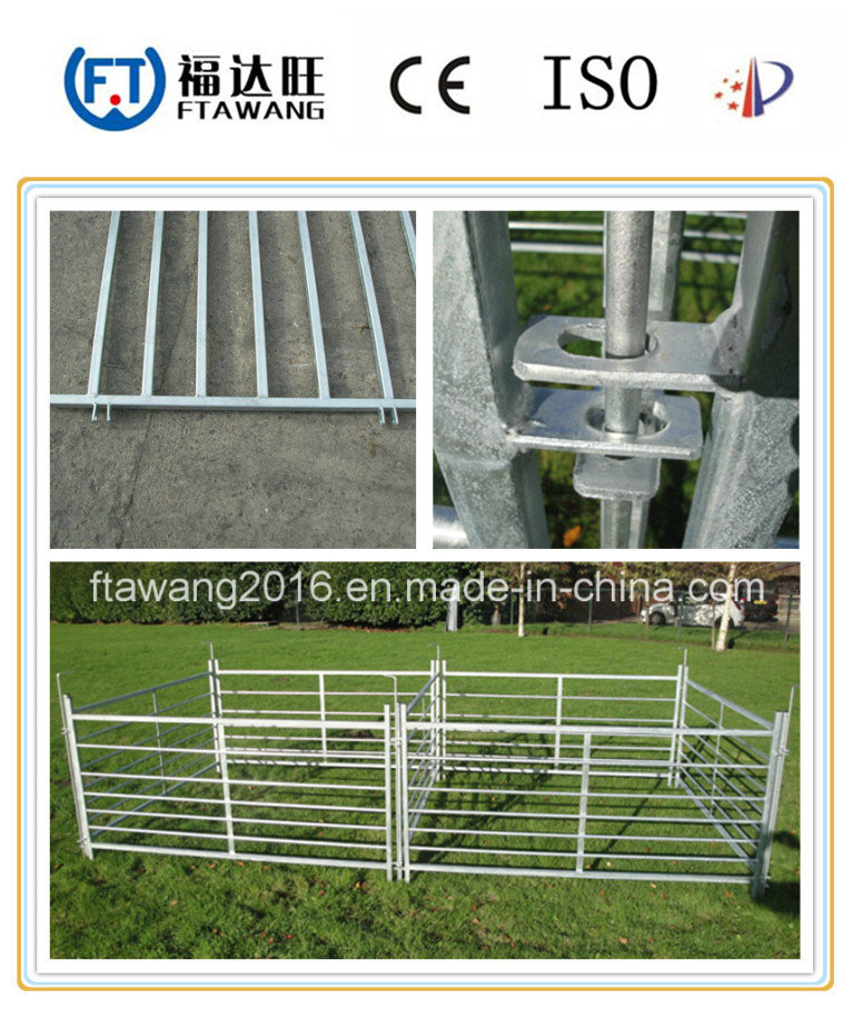 Wholesale Farm Field Fence/Galvanized Wrought Iron Fence