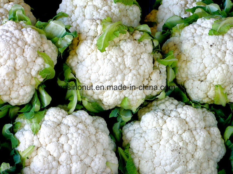 Best Quality Frozen Cauliflower