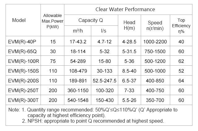 Vertical Submersible Slurry Pumps (EVM-200SV)