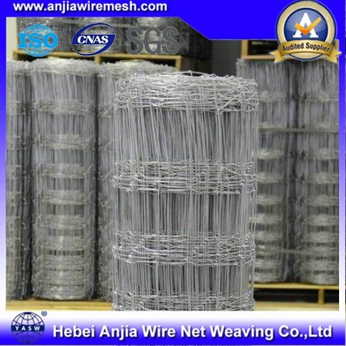 Galvanized Metal Wire Mesh Cattel Horse Fence for Sale