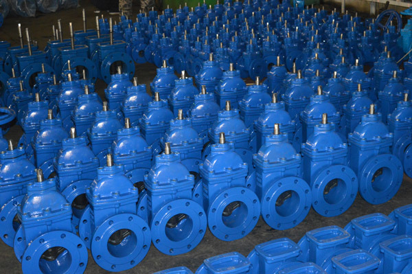 Resilient Seated Water Gate Valve 6 Inch