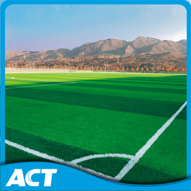 High Quality Synthetic Football Grass/Artificial Turf for Soccer Y50e
