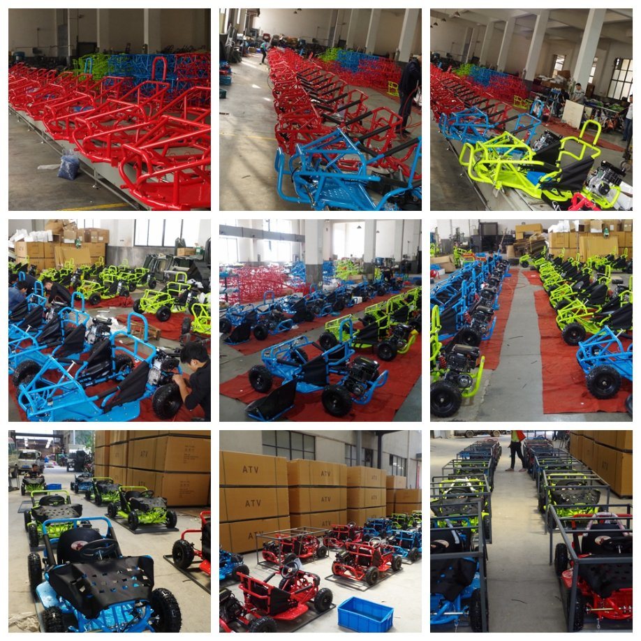 China Manufacturer EPA Gas Go Kart with Ce for Children
