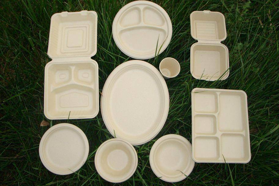 Disposable Biodegradable Bagasse Small Square Cake Tray with Handle