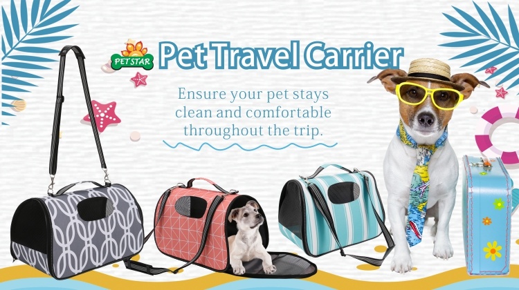 New Collection Portable Outdoor Travel Backpack for Dog