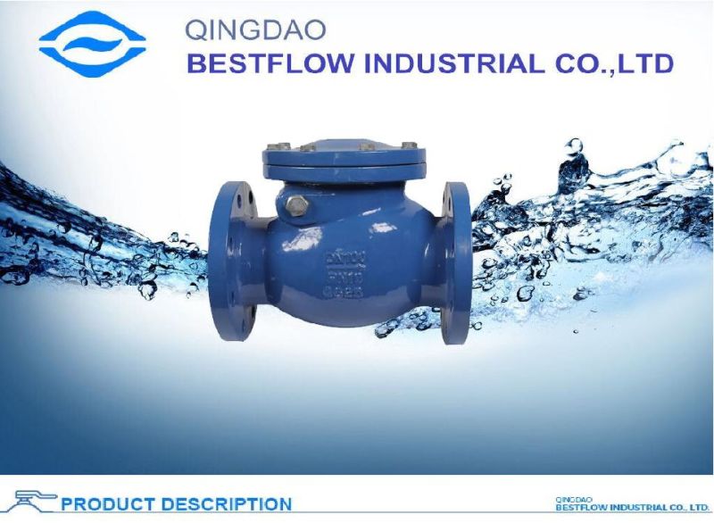 Ductile Iron Swing Check Valve for Water