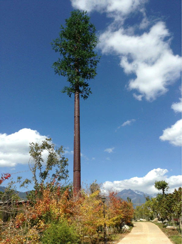 Steel Tube Fake Tree Communication Tower