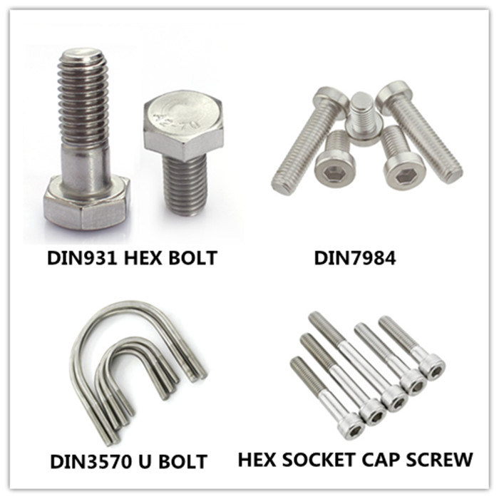 Ss 304 316 Hexagonal Socket Cap Head Bolt