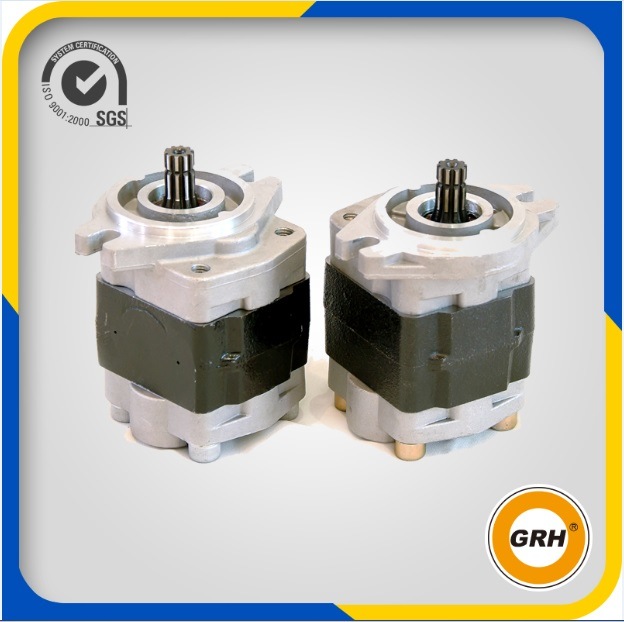 ODM Custom Hydraulic External Gear Oil Pump with SGS, Ce