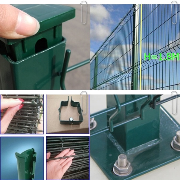 PVC Powder Coated Triangle Bend 3D Welded Wire Mesh Fence Sale