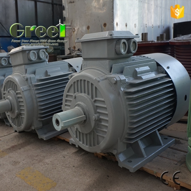 Pmsg Permanent Magnet Synchronous Generator with Low Rpm, Hydro Low Speed Permanent Magnet Alternator 5kw 50kw 5MW