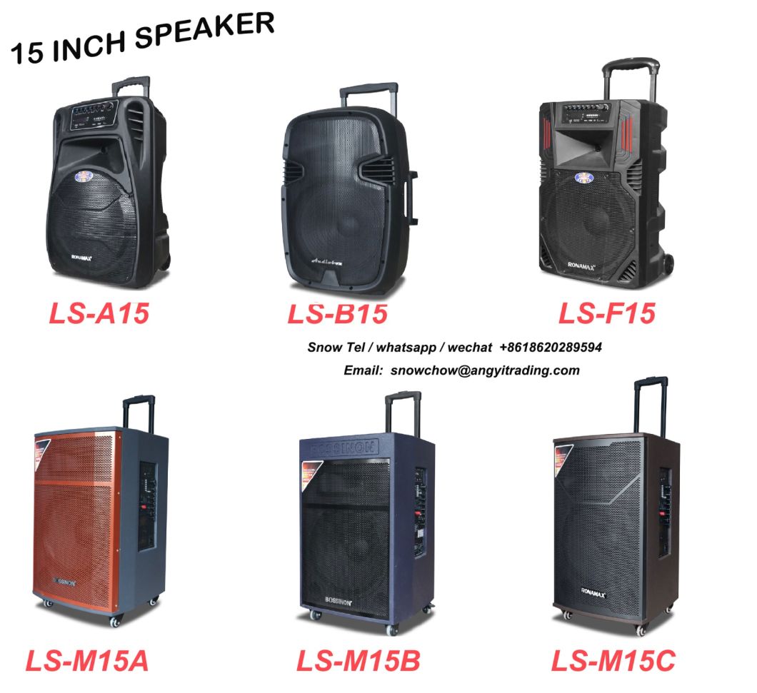 Double 12 Inch Active PRO Audio Speaker Sound Box Trolley Bluetooth Speaker