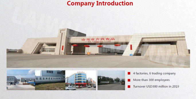 Завод Laiwu Manhing Laiwu Manhing factory