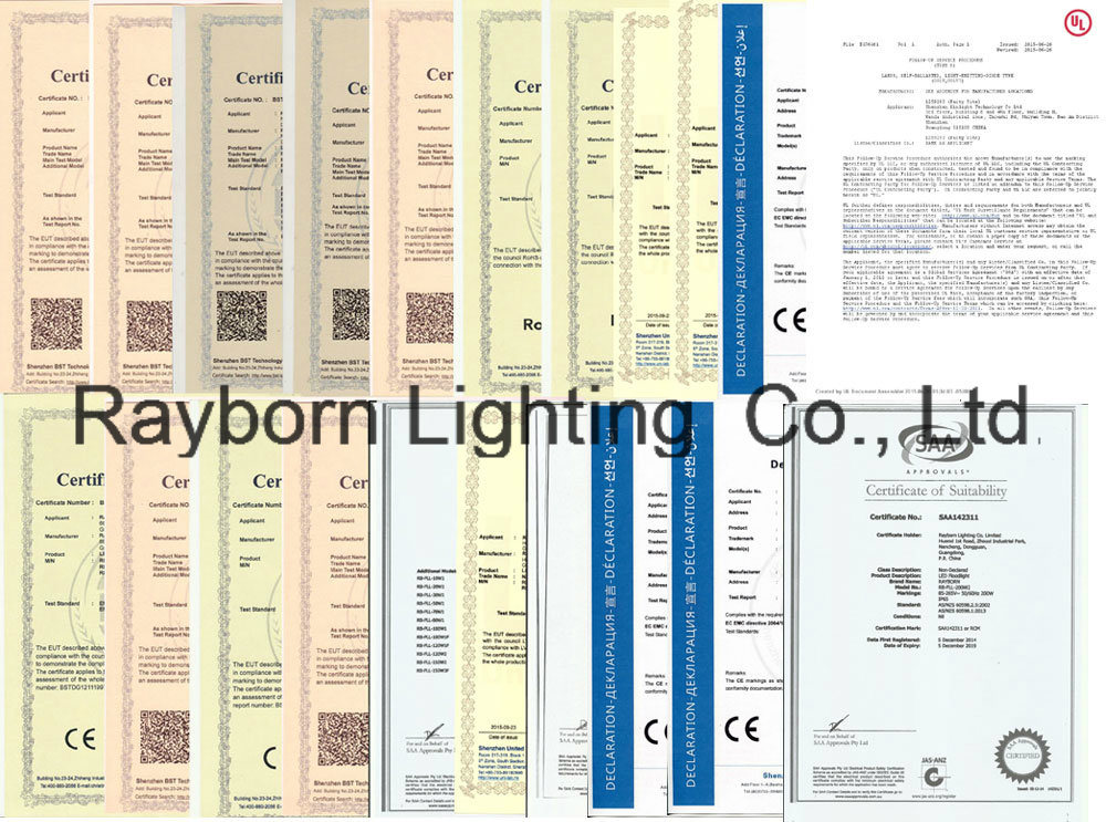 Rayborn 200 Watts SMD 5730 Floodlight Outdoor LED Spotlight 200W