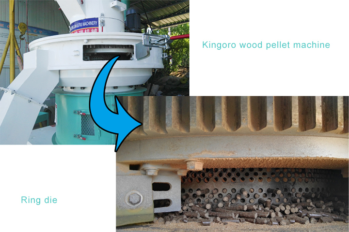 Biomass Wood Rice Husk Straw Sawdust Pellet Granulator