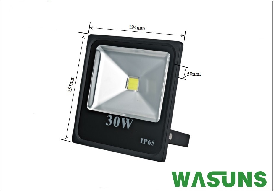 Ce RoHS Certificate Good Quality 30W LED COB Flood Light