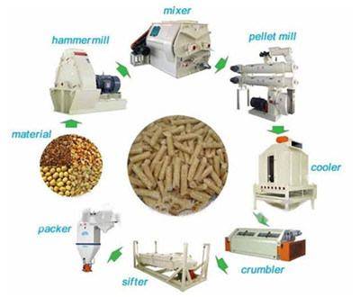 Animal Feed Pellet Processing Project/ Organic Fertilizer Granulator Machine