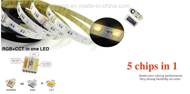 5050SMD IP20/IP65/IP67/IP68 RGB LED Flexible Strip 14.6lm/M LED Neon Flex Strip with TM1914 IC Rgbww LED Rigid Color Changing Strips with LED Outdoor Light