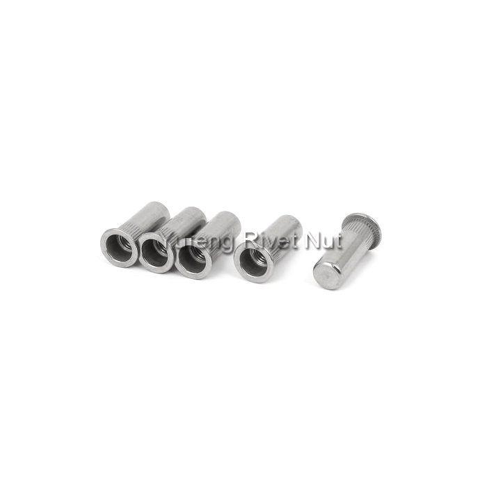 Stainless Steel Flat Head Knurled Body Closed End Rivet Nut
