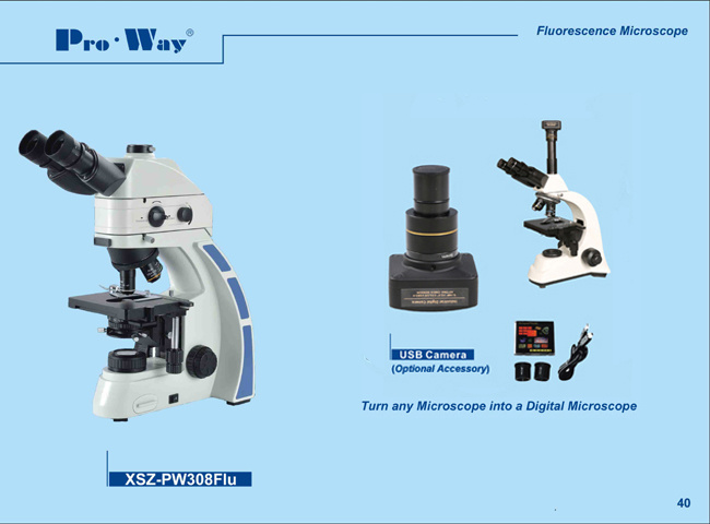 Professional Fluorescent Biological Microscope (XSZ-PW308Flu)