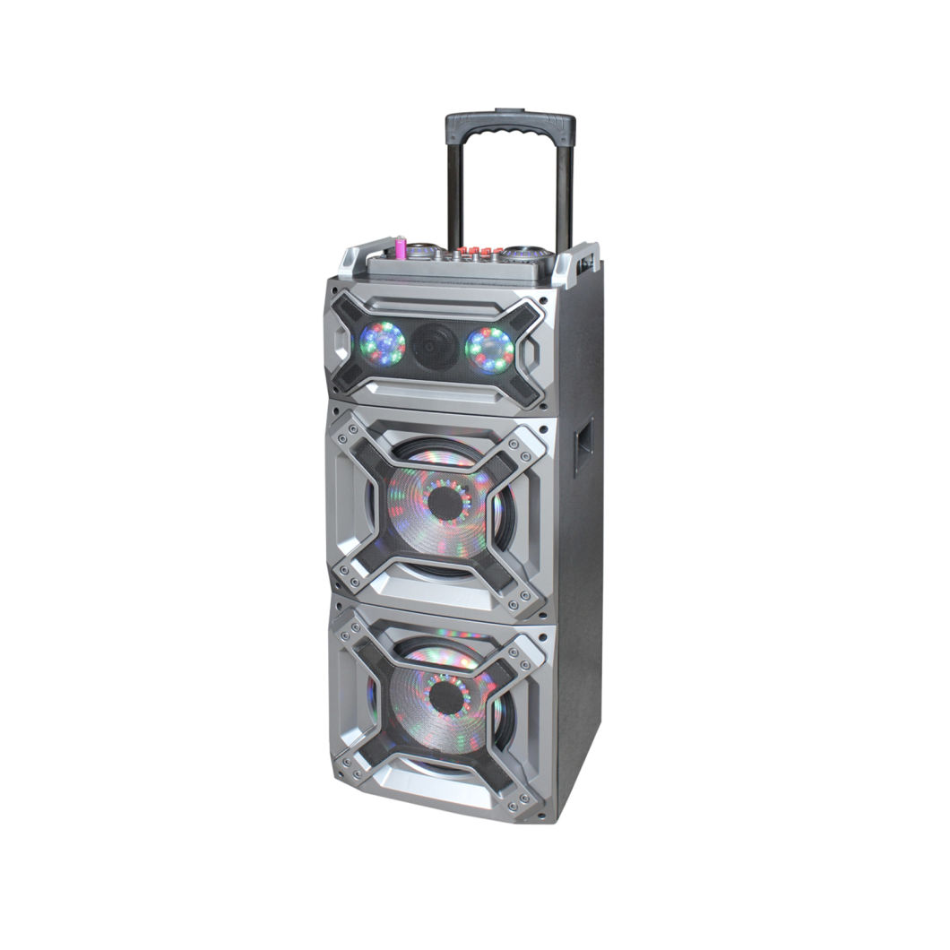 Double 12 Inch Active PRO Audio Speaker Sound Box Trolley Bluetooth Speaker