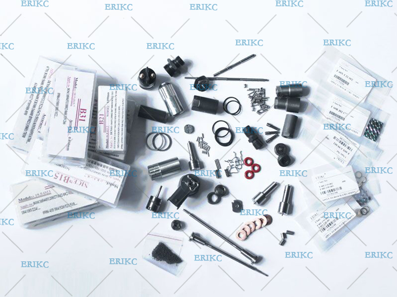 Ejbr05102D Diesel Injector Spare Parts Kits Nozzle and Valve L381pbd 9308z621c Repair Kits 7135-646