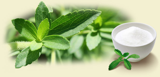 Natural Sweetener Stevia Certificated with FDA, Kosher, Halal, ISO, HACCP