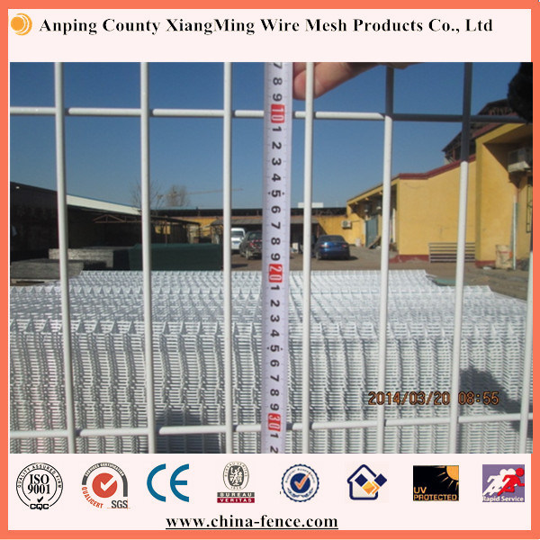 PVC Powder Coated Galvanized Metal Welded Wire Mesh Fence (XM-WMF)