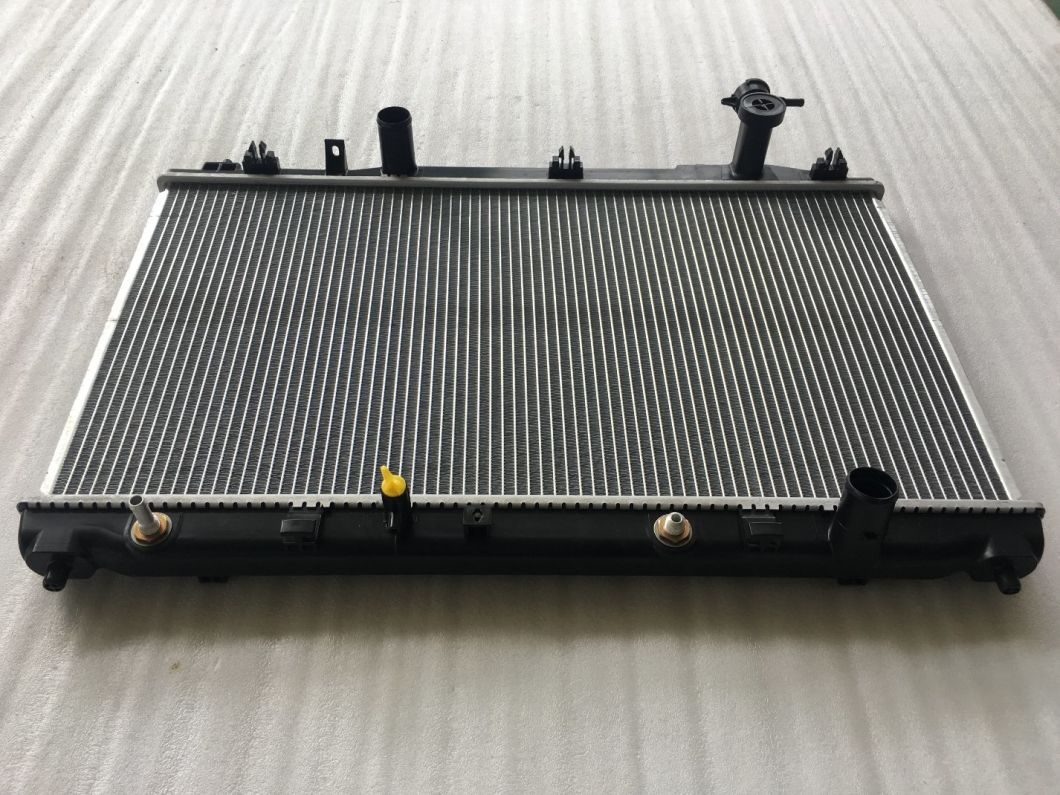 Dpi Aluminium Radiator for Auto