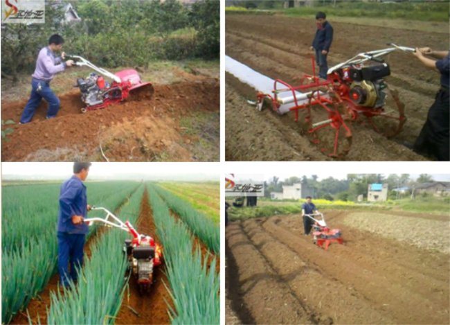 Farm Mini Power Tiller with Best Price