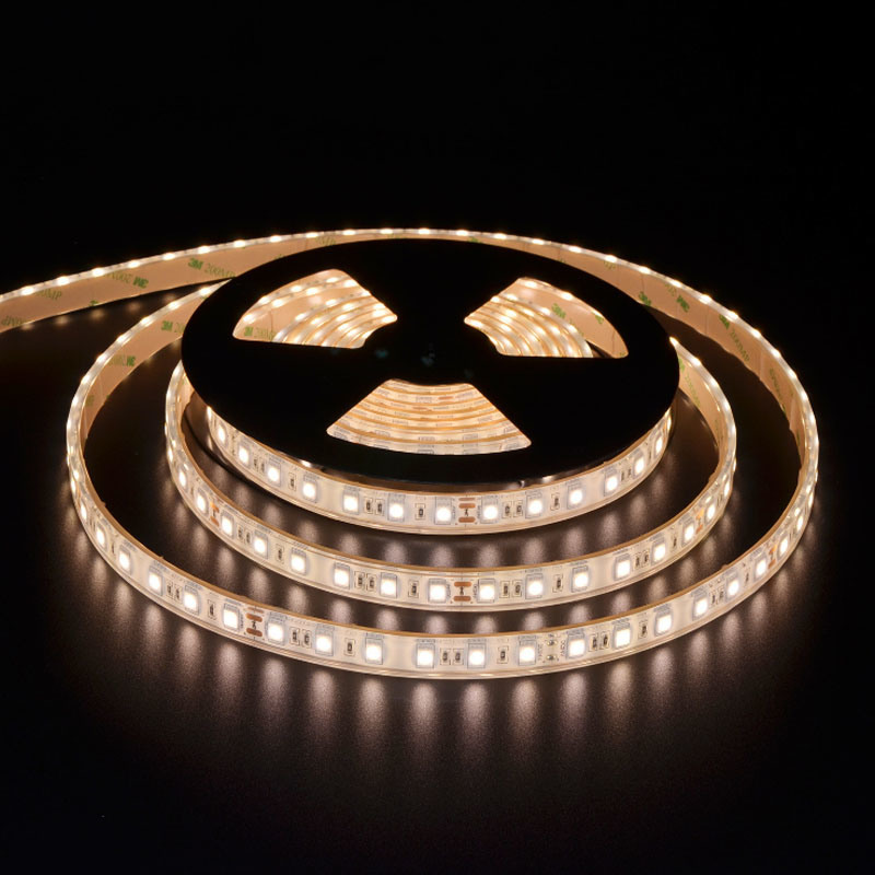 IP68 Waterproof Direct Into Water LED Flexible Strip Lights