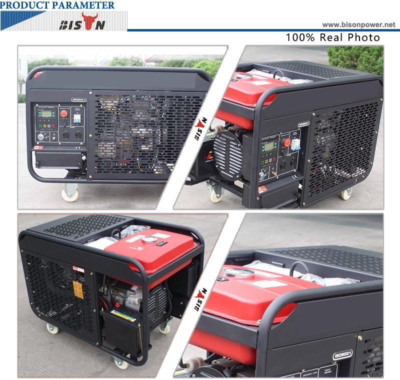 Bison (China) BS15000dce (H) 11kw 11kVA Long Run Time Reliable Diesel Generator Price in Brazil for Sale