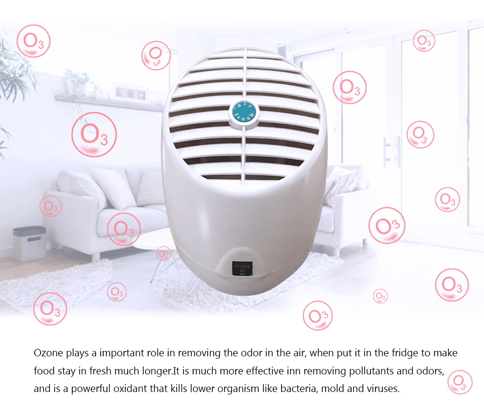 Mini Air Purifier Humidifier Aroma Diffuser Ion Ozone HEPA Filter