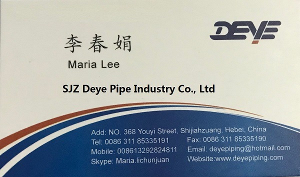 DIN 3202 F6 Pn10 Pn16 Cast Ductile Iron Swing Check Valve with Brass Seat