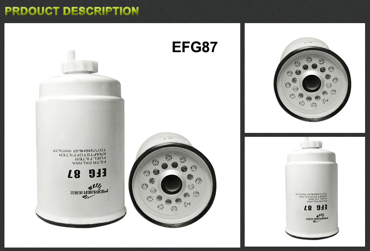 Auto Parts Fuel Filter for Ford Series Efg87