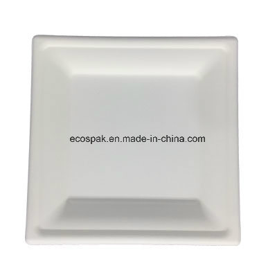 Biodegradable Disposable Compostable Tableware Paper Pulp White 8