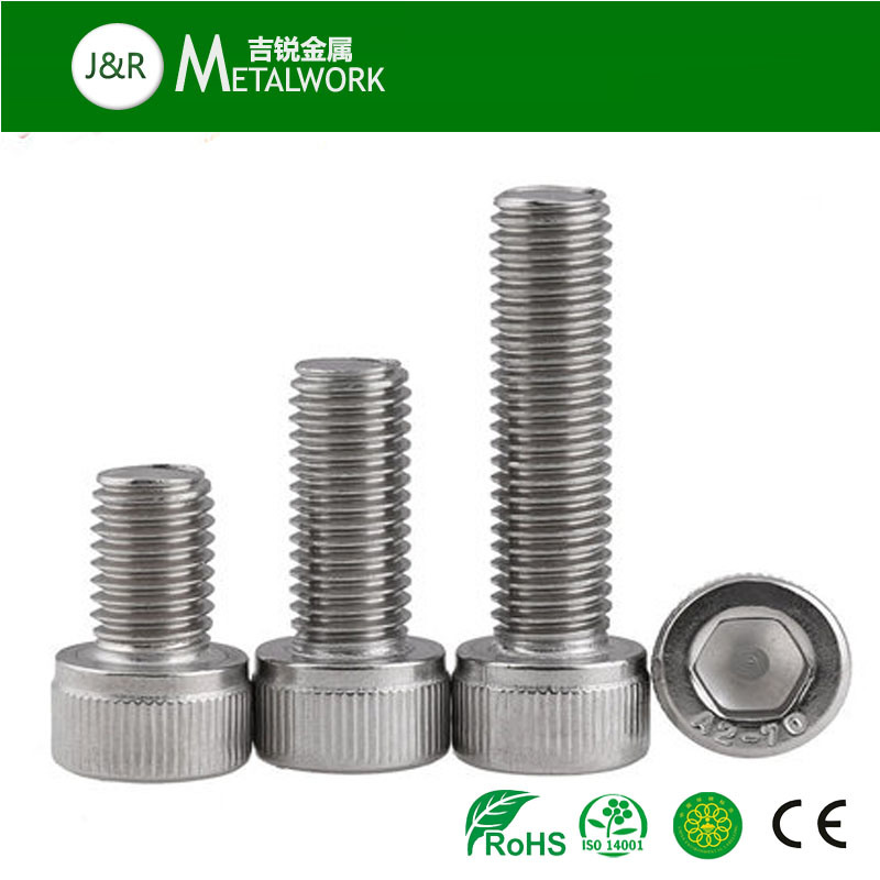 A2 A4 Stainless Steel Hex Socket Head Cap Screw (SS304 SS316 316L)