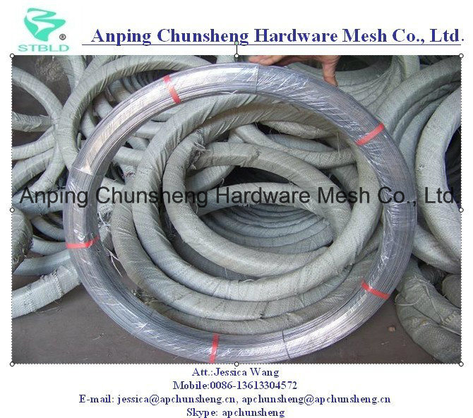 Galvanized Steel Wire for Brazil Market Using