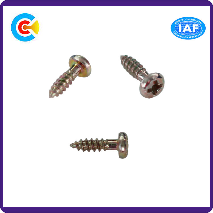 Custom Stainless Steel Phillips/Cross M6 Pan Head Fastener Self-Tapping Screws