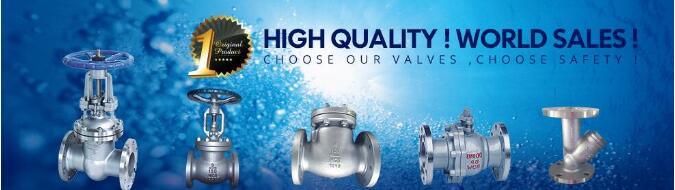 Stainless Steel American Standard Gate Valve