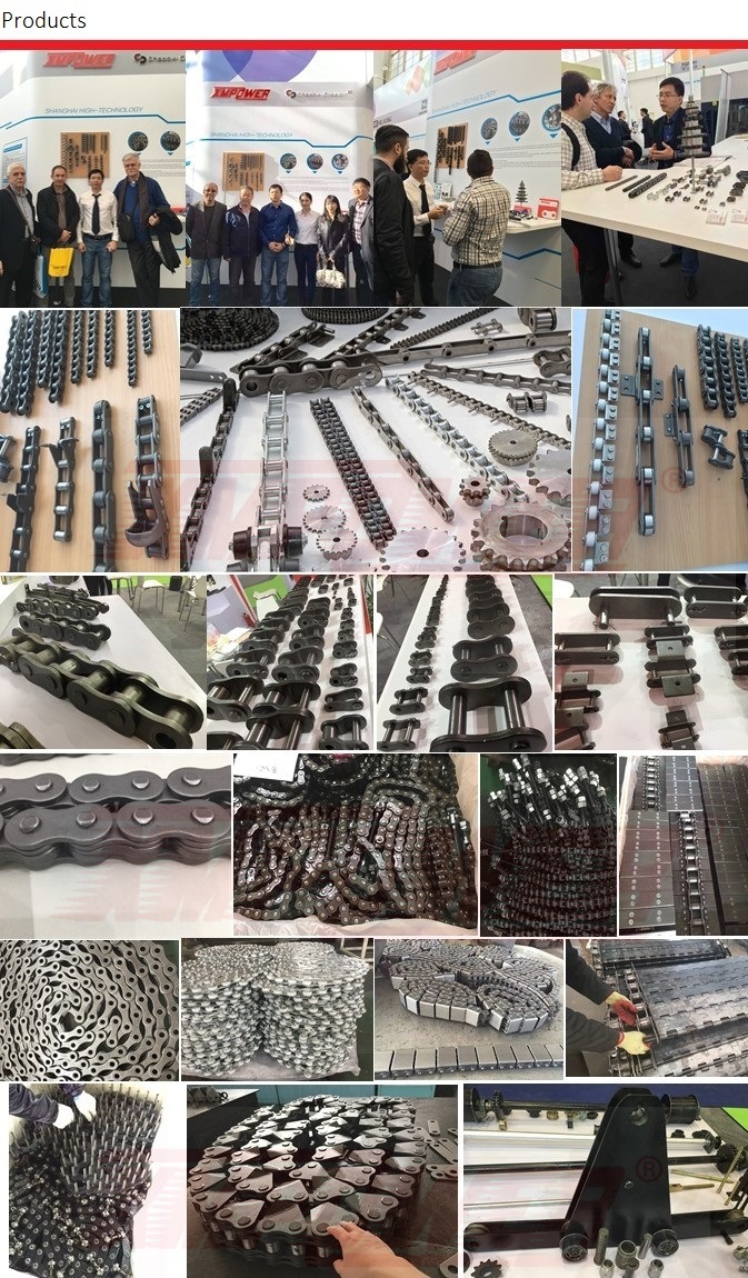Motorcycle Heavy Duty Type Precision Roller Chains ANSI/ISO Standard