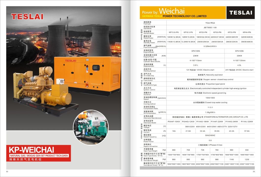 180kVA 200kVA 160kw Silent Natural Gas / Biogas Power Electric Generator