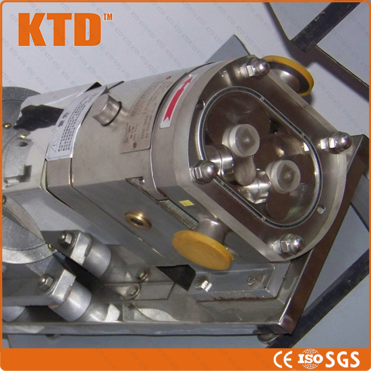 Ce ISO Rotor Pump 3kw Sauce Stainless Steel Pepper Sauce Pump