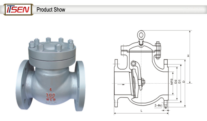 Cast Steel Wcb Flanged Swing Check Valve of Pn16