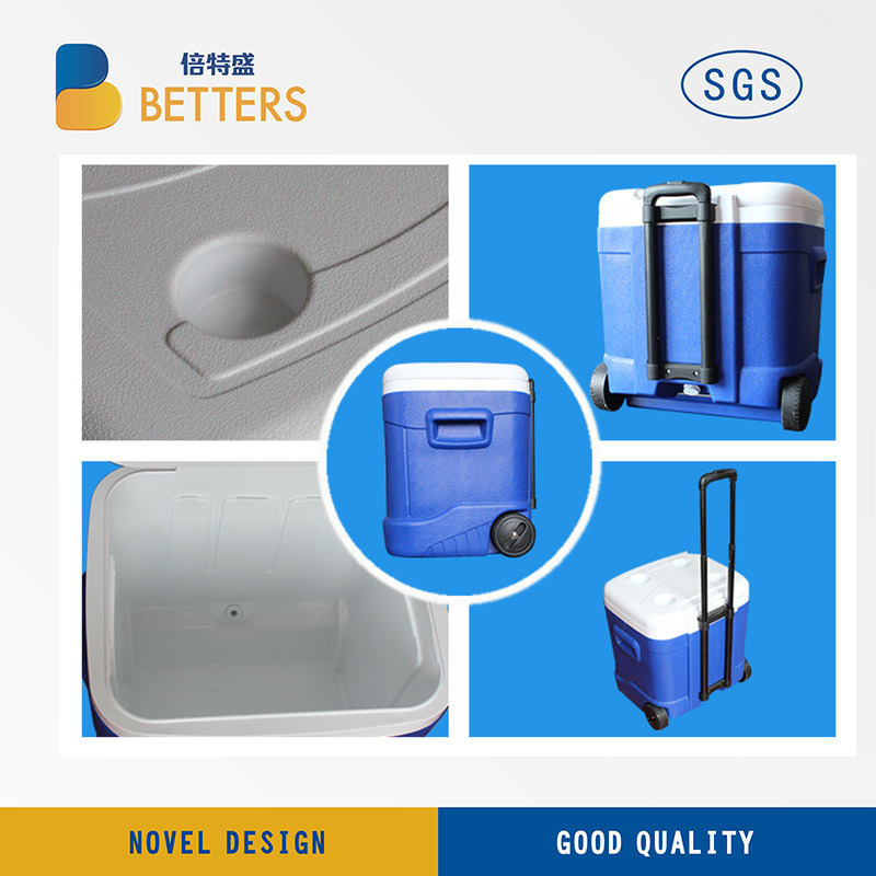 5L/1 Gallon High Quality Thermal Insulate PP Cooler Box