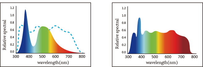 Portable Spectrophotometer for Color Measuring