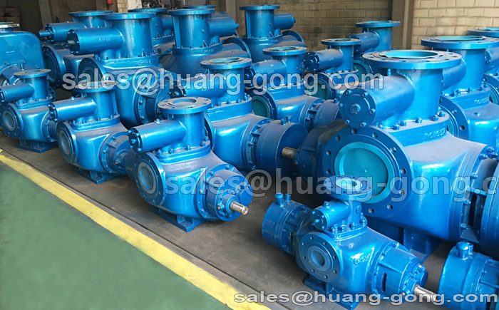 Huanggong Marine Twin Screw Pump 2hm2500-56 with CCS